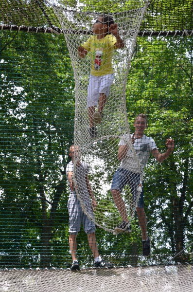 Les filets dans les arbres