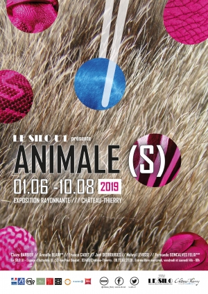 Exposition Animale(s)