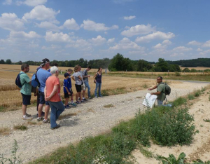 Visite guidée - Sur les traces des combats du Bois de Belleau