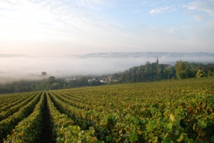 La route touristique du Champagne