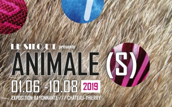 Exposition Animale(s)
