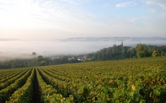 La route touristique du Champagne