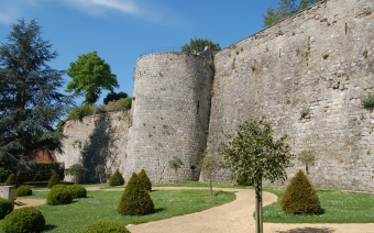 Filets dans les arbres (à Château-Thierry) - Pétillante Champagne