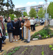 Jardin partagé