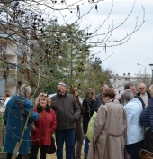 visite du jardin partagé des Comtesses