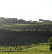 La route touristique du Champagne