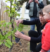 Jardin partagé